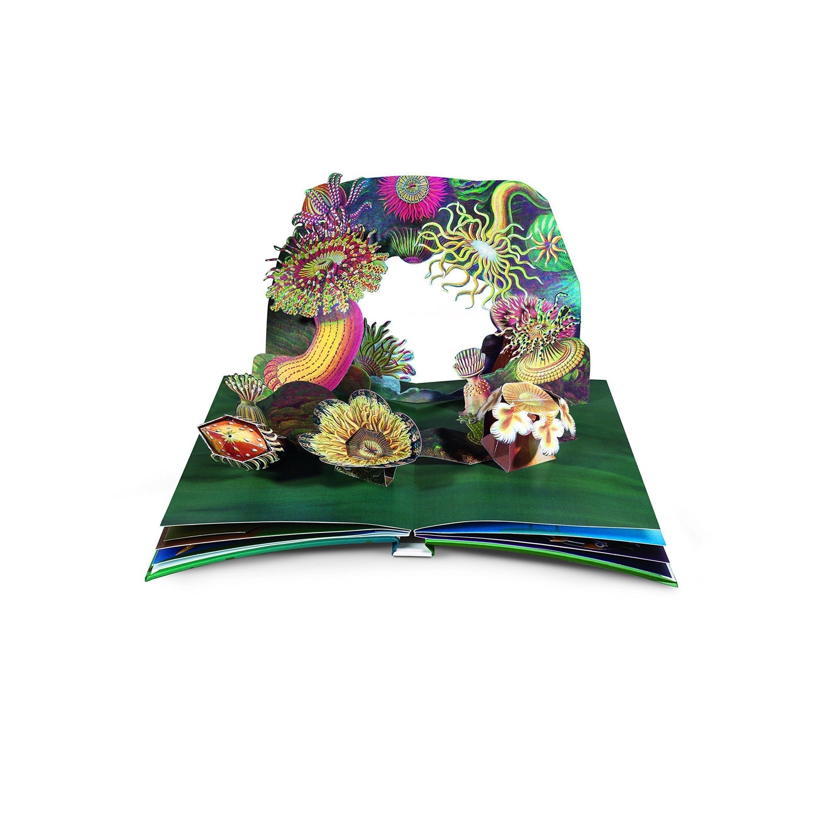 Creatures of the Deep Eleish Van Breems Home