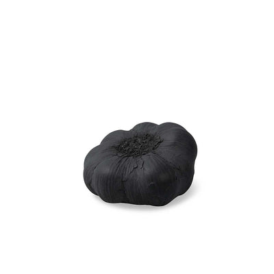 Decorative Concrete Garlic Eleish Van Breems Home