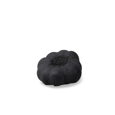Decorative Concrete Garlic Graphite Grey Eleish Van Breems Home