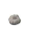 Decorative Concrete Garlic Nature Grey Eleish Van Breems Home