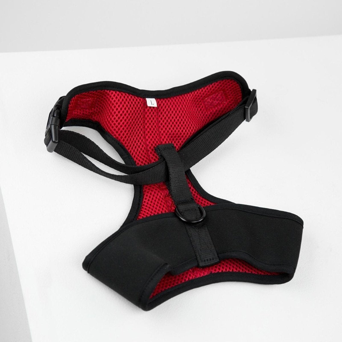 Dog Sports Harness Eleish Van Breems Home