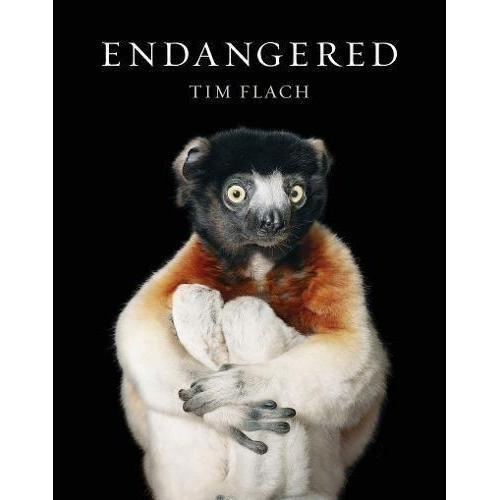 Endangered Eleish Van Breems Home