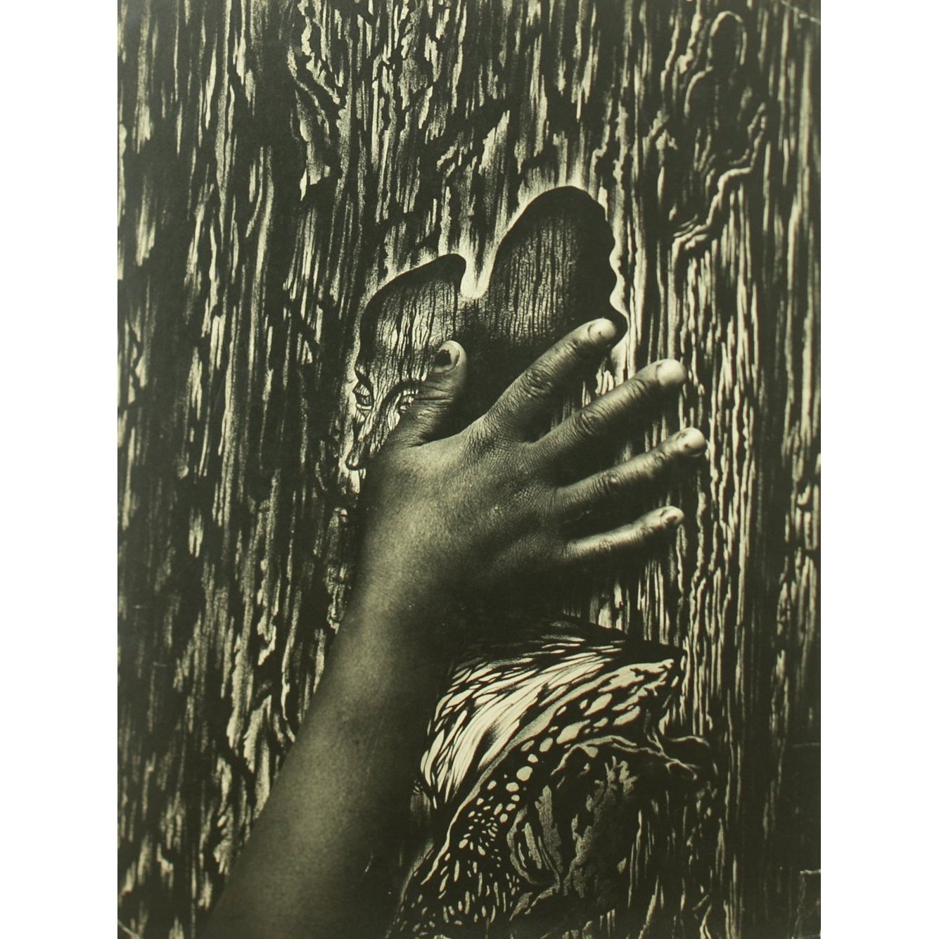 Hattie's Hand by Alan Fontaine Eleish Van Breems Home