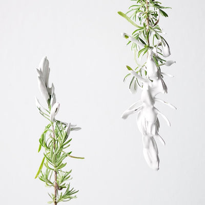 Lavand Botanical Mist Eleish Van Breems Home