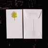 Gift Card Enclosures