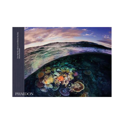 Two Worlds: Above and Below the Sea