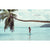 Surf Like a Girl Eleish Van Breems Home