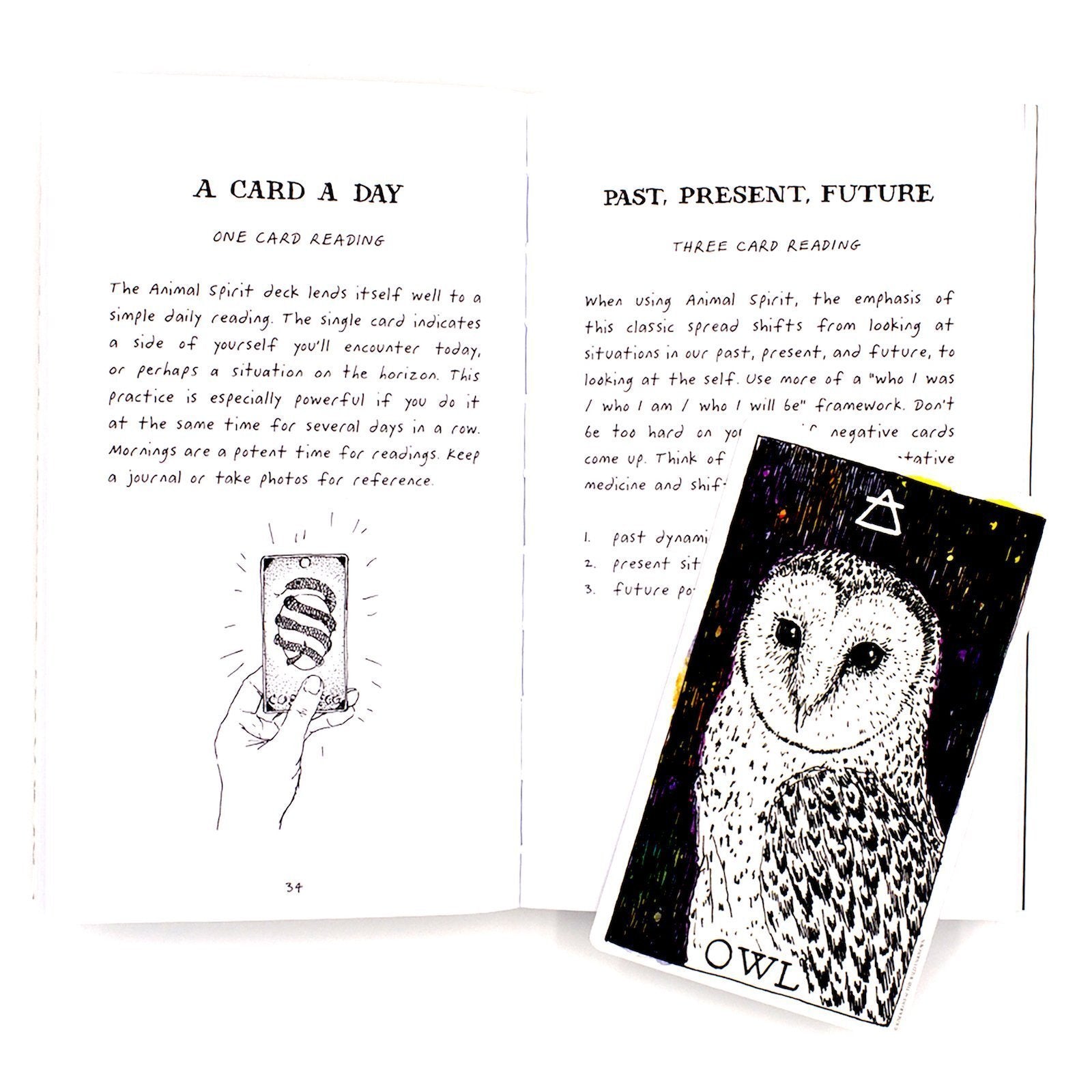 The Wild Unknown Animal Spirit Deck and Guidebook Eleish Van Breems Home