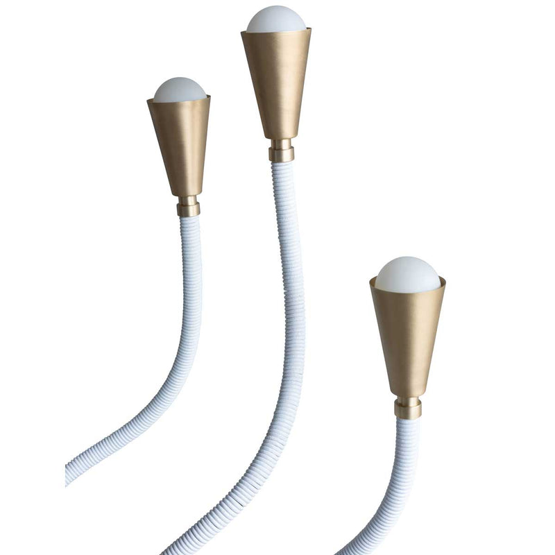 Trident Table Lamp Brushed Brass for Eleish Van Breems