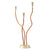 Trident Table Lamp Brushed Brass For Eleish Van Breems Eleish Van Breems Home