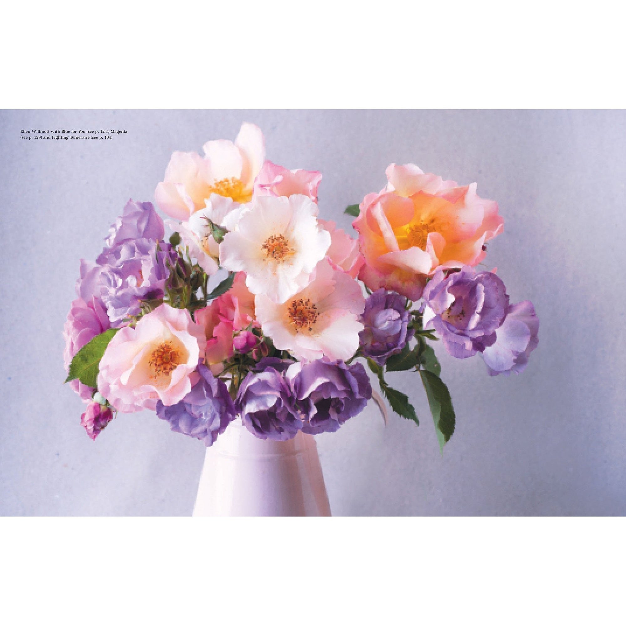 Vintage Roses: Beautiful Varieties for Home and Garden Eleish Van Breems Home