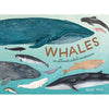 Whales: An Illustrated Celebration Eleish Van Breems Home